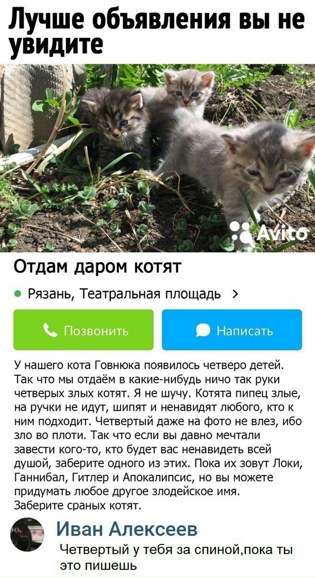 Безумные приколы