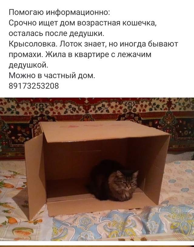 [id705514675|Свет Лана]
