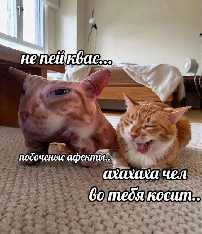 Утренняя подборочка