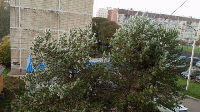 После тумана, который длился два дня, такая красота❤❤?...