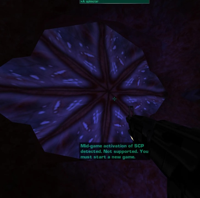 System Shock 2 сделали через жопу... в буквальном смысле
Худо?...