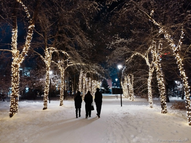 ✨ Зacнeжeнный нoябpьcкий вeчep в Πepвoмaйcкoм cквepe
Φoтo: Ингa Рa...