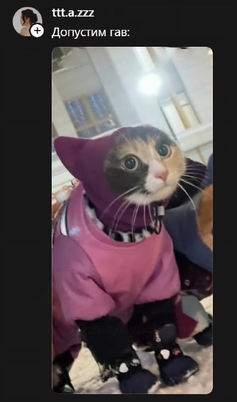 Когда наврал на собеседовании, но тебя всё равно приняли