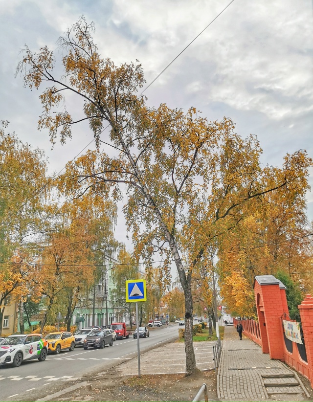 Осень в HDR эффекте