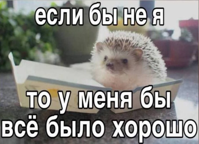 Утренняя подборочка