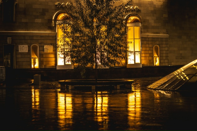 Ночной, влажный 🥰 Воронеж