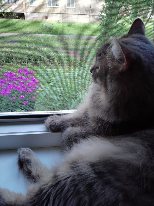 😺 Всем привет! На связи Маркиз Алексеич... Желаю вам вс?...