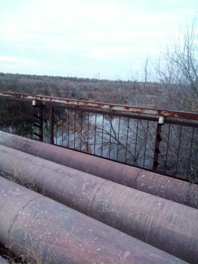 Немного позитива в ленту.На снимках-октябрь 2025 года на ...