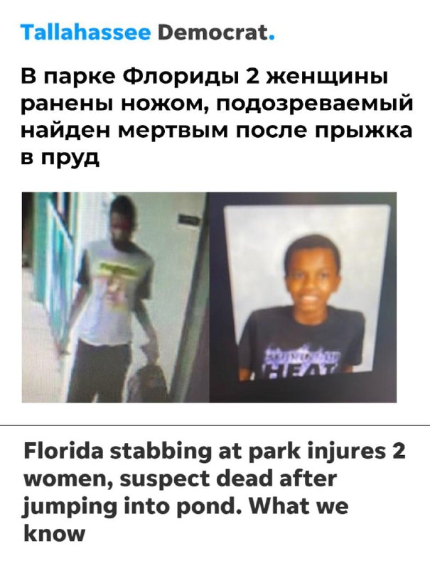 Во Флориде негр, просто так пырнувший ножом двух женщин, утонул в пруду при попытке скрыться с места