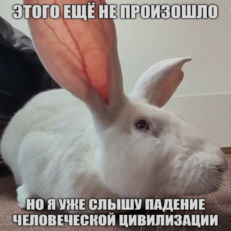 Ночная подборочка
Спать, режим