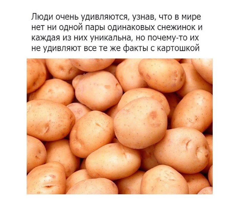 Утренняя подборочка