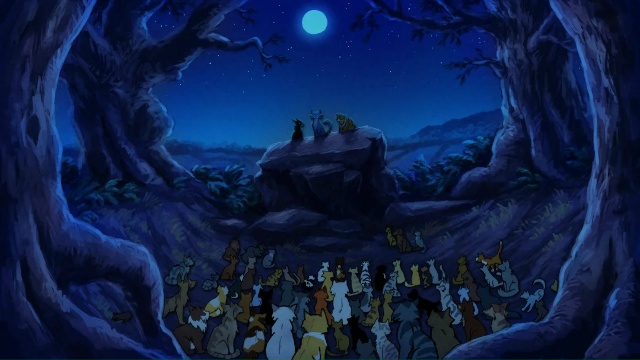 «Лес нуждается в четырёх племенах. Как у нас есть Четыр...