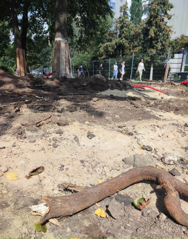 Варварство в Воронеже продолжается. После ремонта на б...