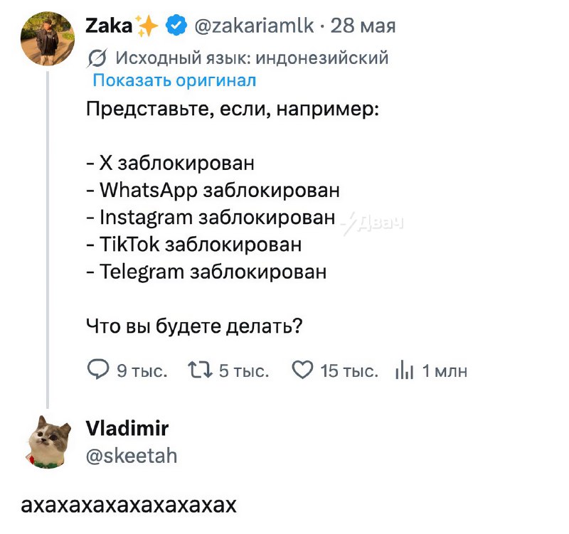 Индонезийцы попытались представить невероятную для себя ситуацию — все популярные соцсети заблокиров