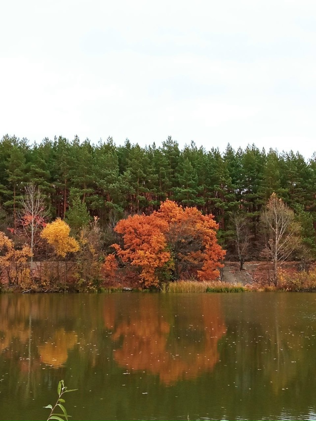 Осенний Спутник