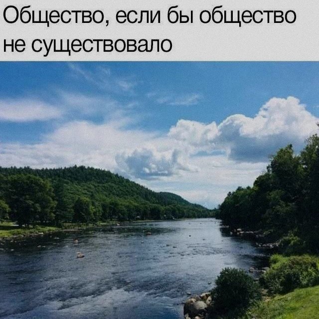 Ночная подборочка
Спать, режим