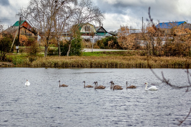 Осенняя красота пруда (с.Орда) ???