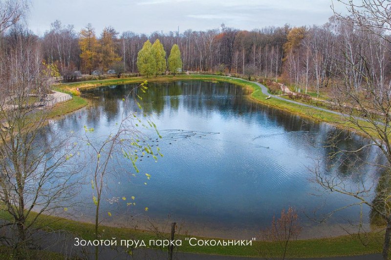 👀 Проект второго этапа реконструкции парка Сокольники Благоустроят партерную зону, Фестивальную пло