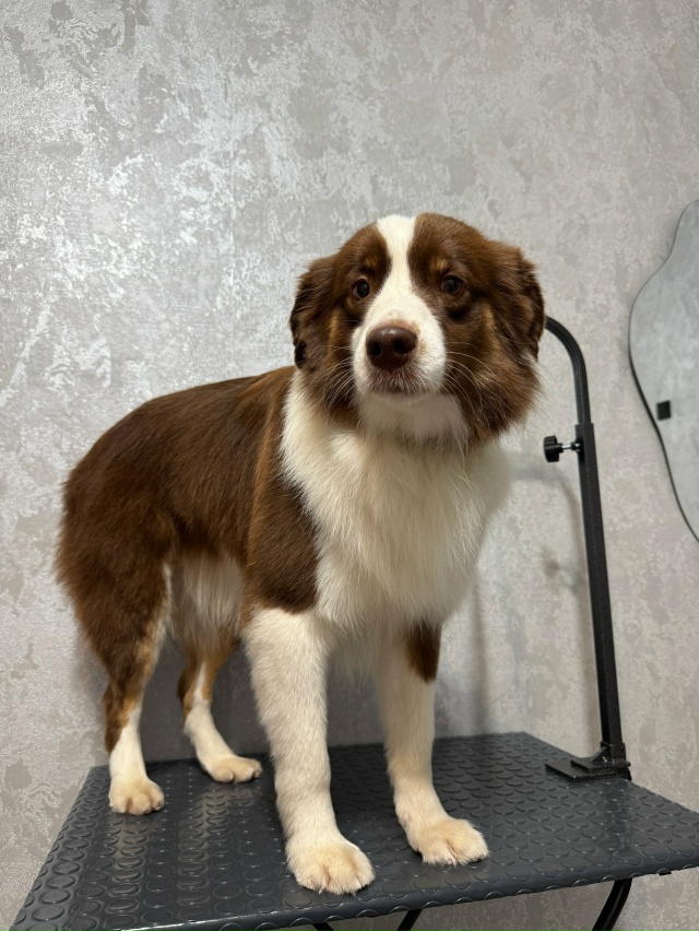 Доброго времени суток!✨
Меня зовут Вероника.
Я дипло?...