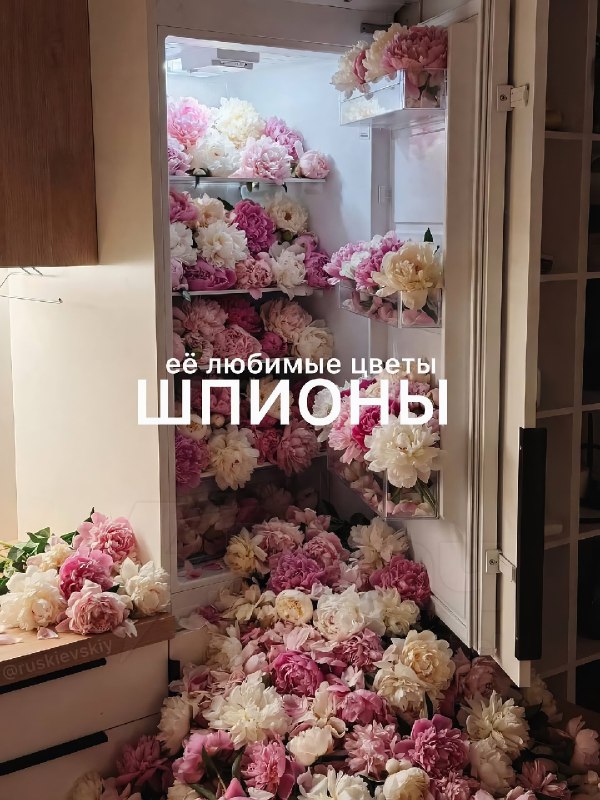 В интернете показали цветы, которые точно понравятся твоей тянке
Отправь ей, чтобы порадовать её