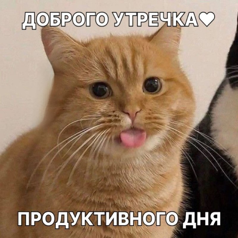 Утренняя подборочка