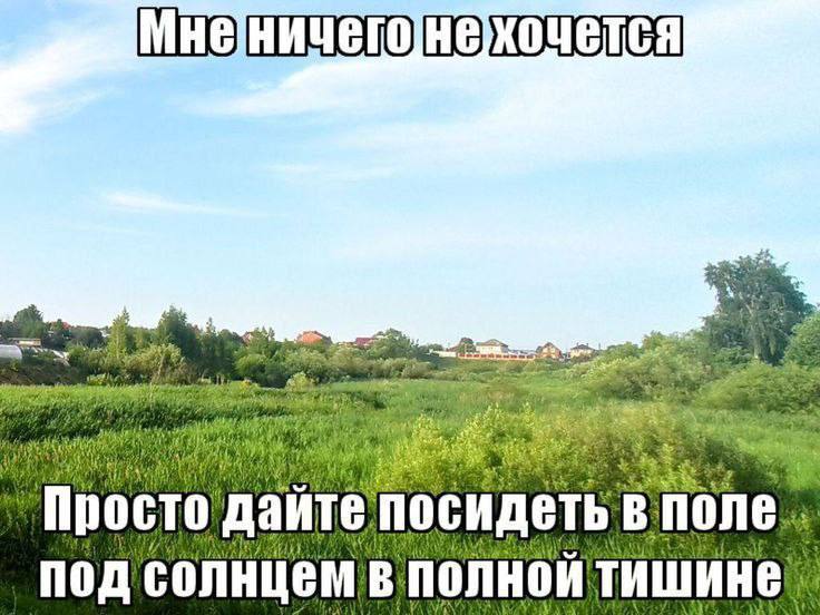 Утренняя подборочка