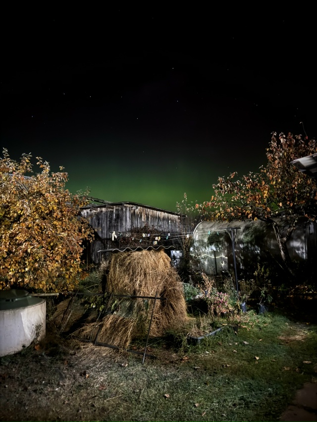 Северное сияние Окуловка 18 октября