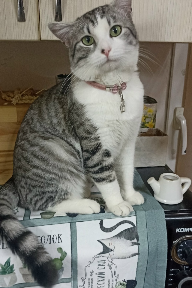 03.12.2025 ночью, в районе Слободки (проживает ул. Средняя, 35...