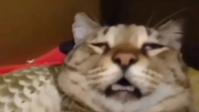 ▶ Учёные утверждают, что дополнительные 15 минут сна мо...