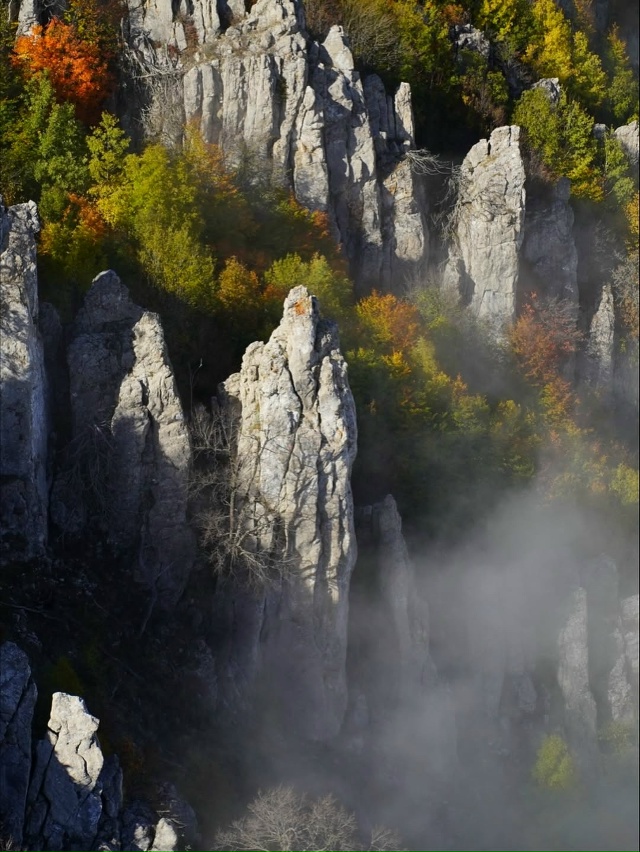 Перья Хапхала 🇷🇺