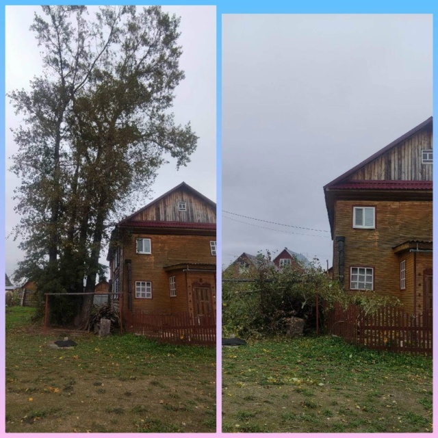 СПИЛИМ ЛЮБОЕ ДЕРЕВО (рядом с домами, проводами, заборам...
