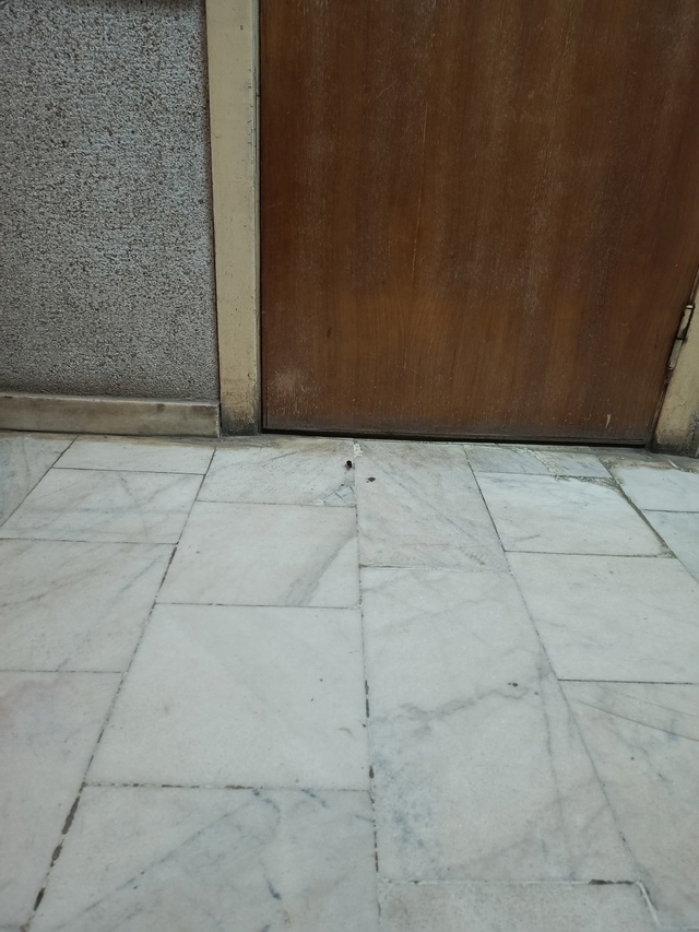 Поликлиника №4
Взрослое отделение, надеюсь мое прибыв...