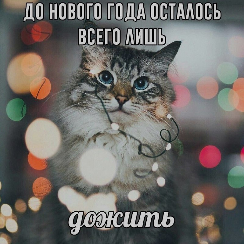 Ночная подборочка
Выходные, не спим