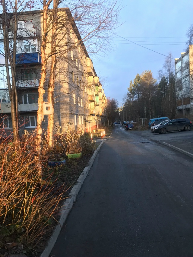 14 ноября в прошлом году