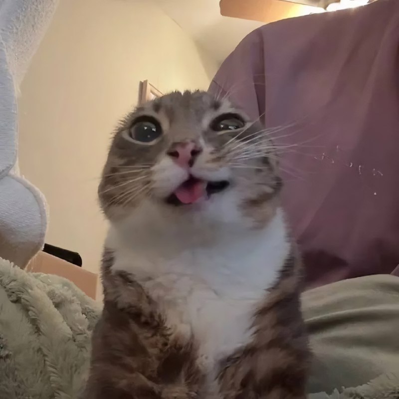 Ловите набор аватарок, чтобы показать своё настроение перед РАБотой
Ставим всем офисом заводом