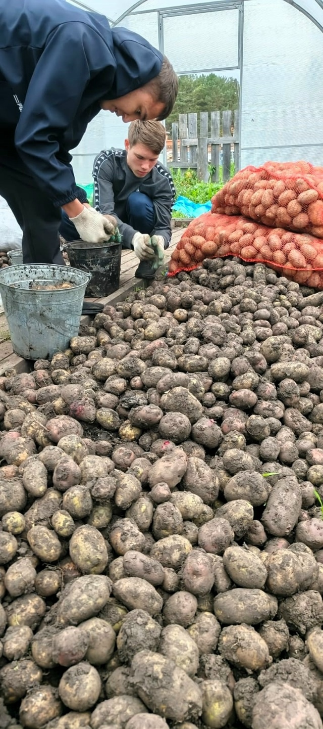 Воспитание трудолюбия и уважения к людям труда являет?...