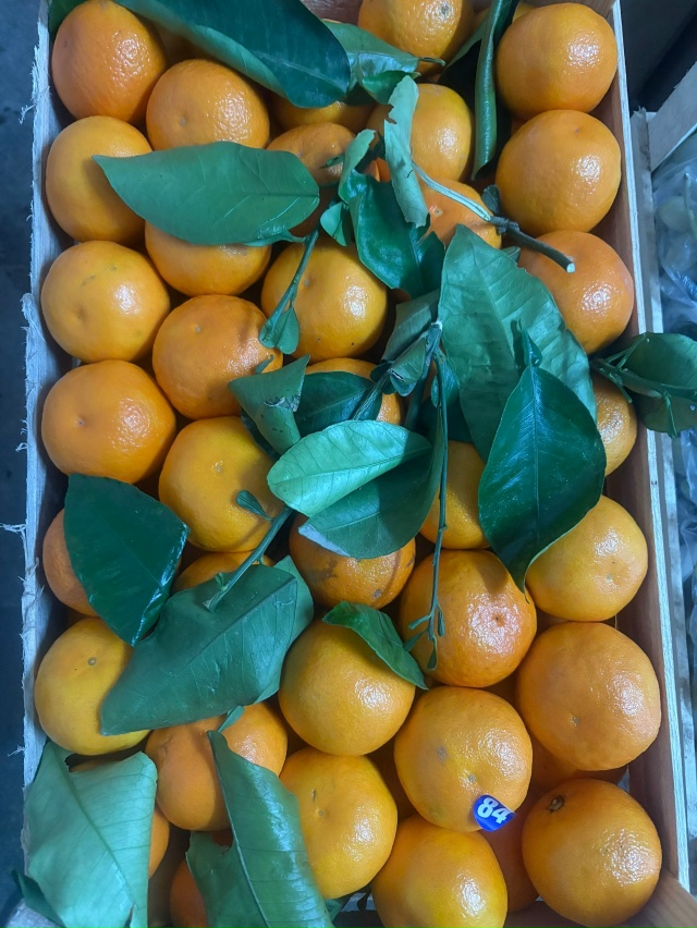 В магазине Горец свежее поступление Казы, утки Халяль, ...