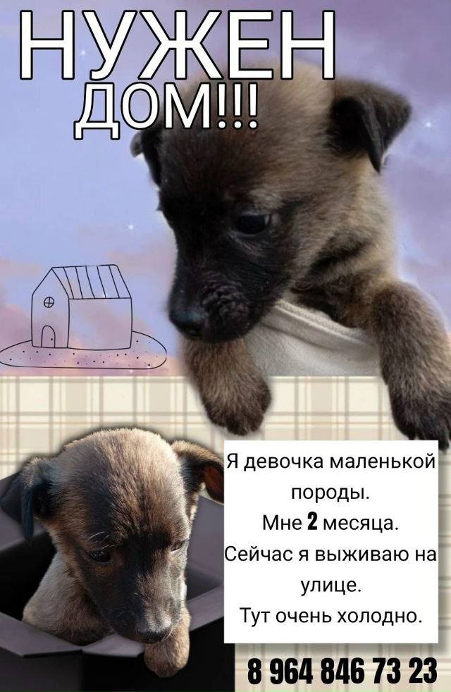 [id366776519|Ольга Арефьева]