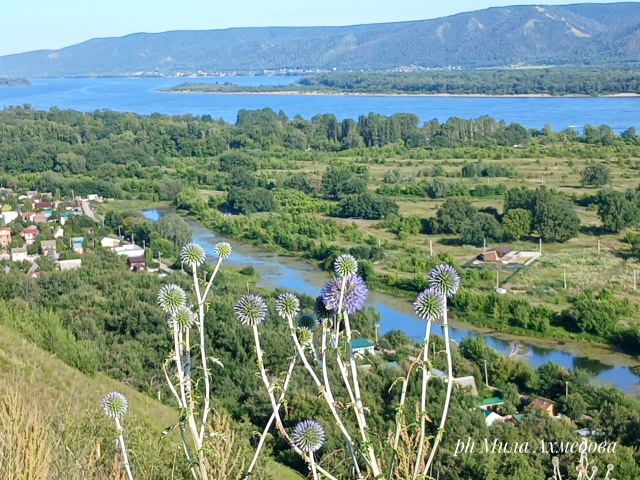 Остановочный пункт 