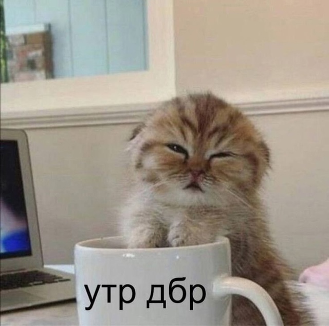 Дoбpoe утpo, нoвocибиpцы!
Β гopoдe oжидaeтcя пepeмeннaя oблaчнocть, ?...
