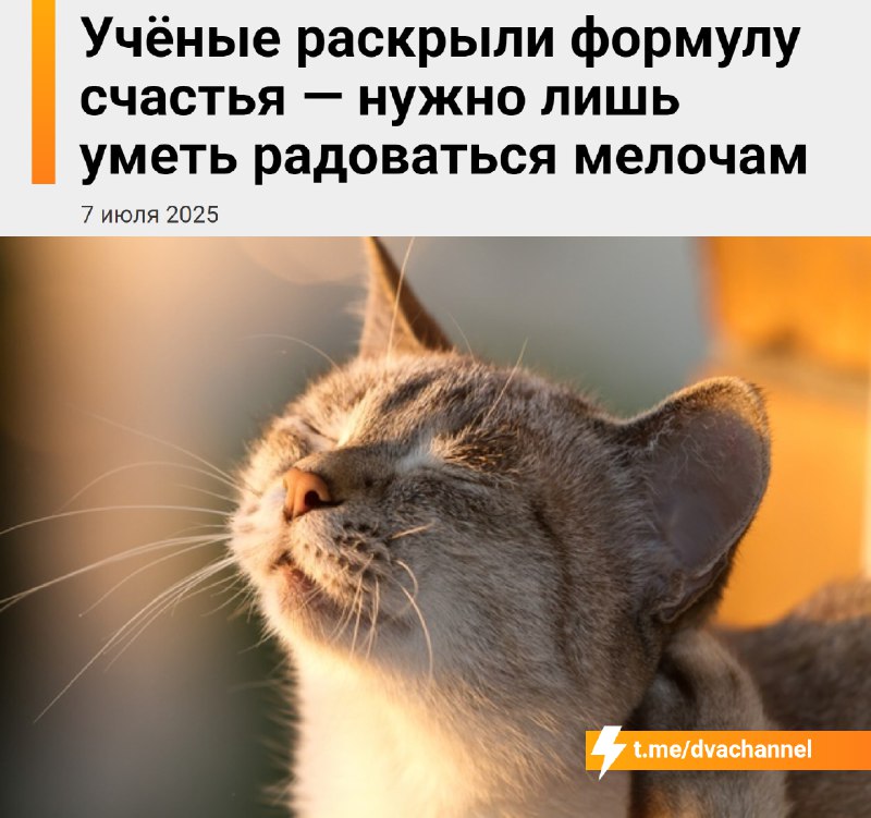 Учёные нашли простую формулу счастья: надо уметь радоваться мелочам.
Они изучили 18 тысяч человек —
