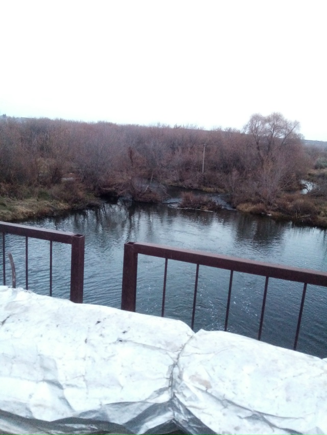 Немного позитива в ленту.На снимках-октябрь 2025 года на ...