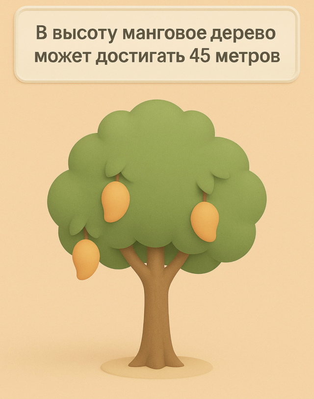 Манговое дерево вырастает до 45 метров ??
Манговые д?...
