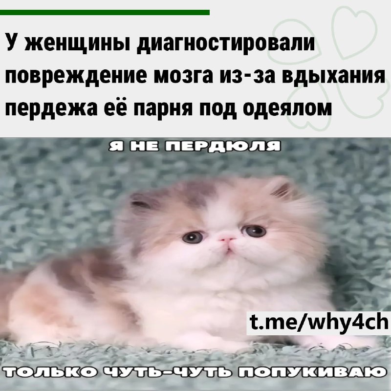 Нет, это не рофл: у женщины началось сильное головокружение и тошнота, после которых она упала в обм