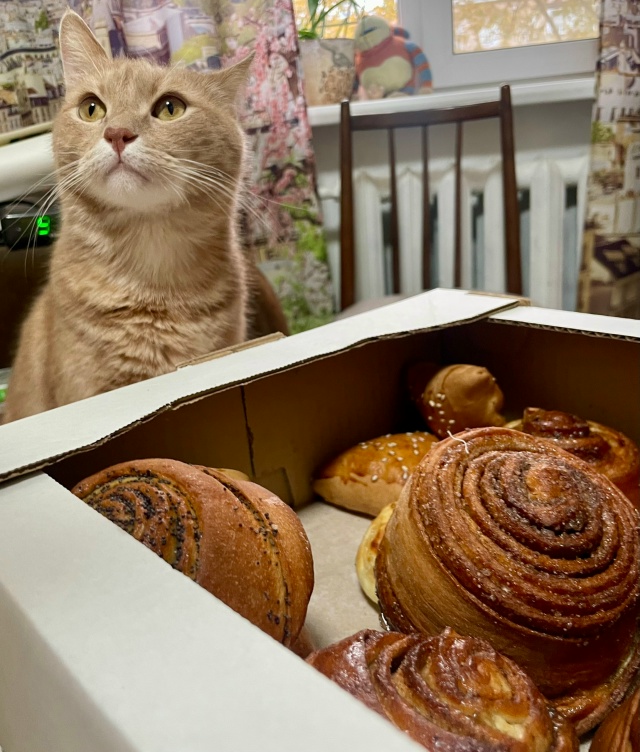 И вы все это сожрете?