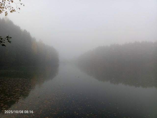 Ну как же не любить Россию?
Я тут родился, вырос и живу! ...