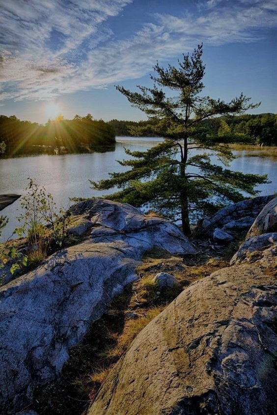 Если человека не восхищает ничто вокруг, значит ему не?...