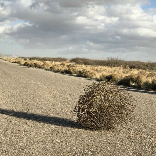 POV: я, каждые 30 секунд играя в Arc Raiders