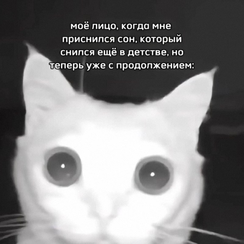 Утренняя подборочка
