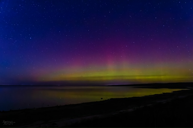 Северное сияние на Рыбинском водохранилище ❤️
12.11.2025...